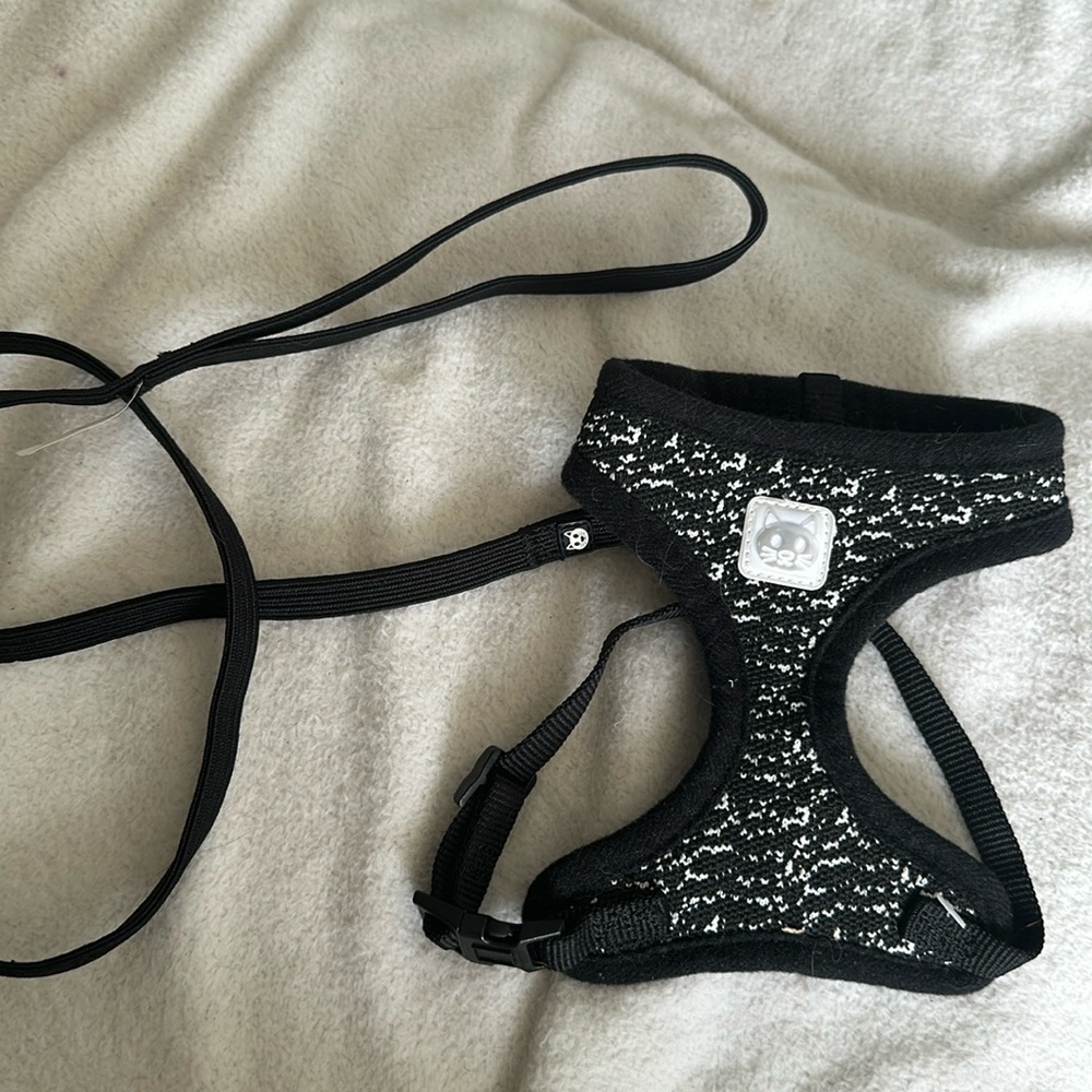 Cat harness with detachable leash.